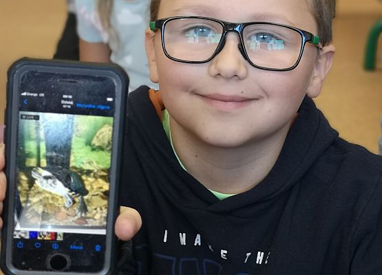 Światowy Dzień Zwierząt w klasie 3a grafika