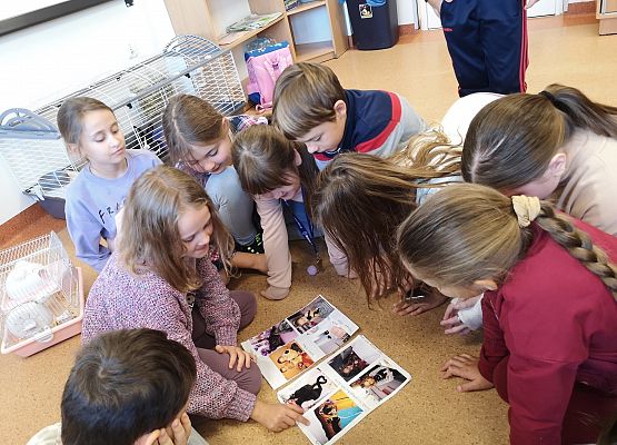 Światowy Dzień Zwierząt w klasie 3a grafika