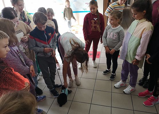 Światowy Dzień Zwierząt w klasie 3a grafika