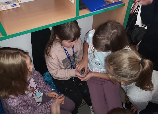 Światowy Dzień Zwierząt w klasie 3a grafika