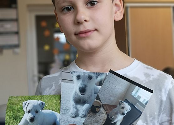 Światowy Dzień Zwierząt w klasie 3a grafika