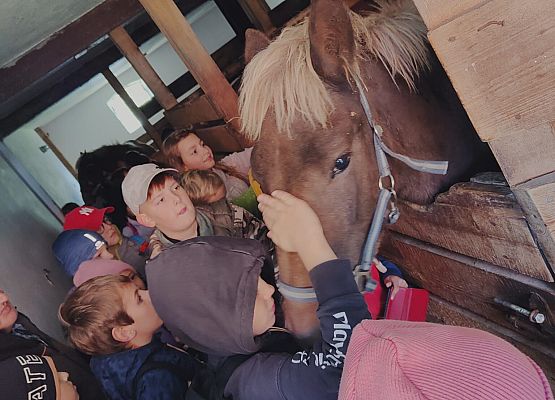 Wycieczka kaszubska klas trzecich – Swołowo grafika