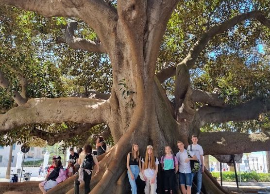 hAAPy students - Hiszpania grafika