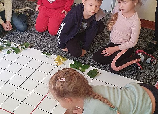 Codeweek 2022 grafika