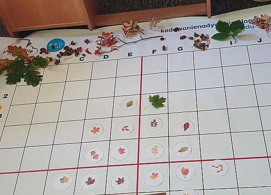 Codeweek 2022 grafika