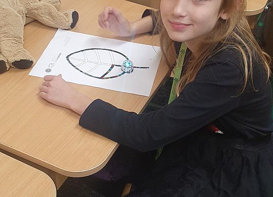 Codeweek 2022 grafika