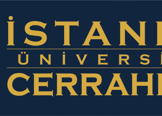 STREAMS - nowy projekt ERASMUS+ grafika