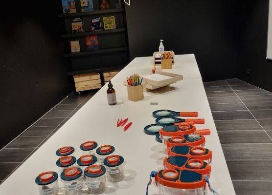 S.T.R.E.A.M.S. Islandia - pierwsze spotkanie partnerskie grafika