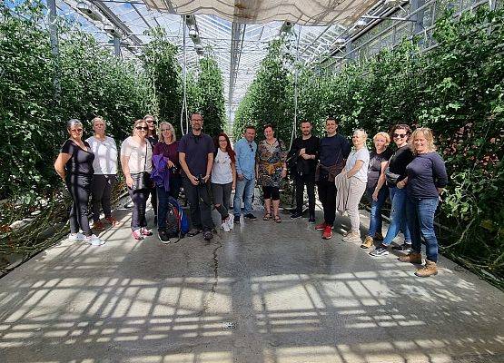 S.T.R.E.A.M.S. Islandia - pierwsze spotkanie partnerskie grafika