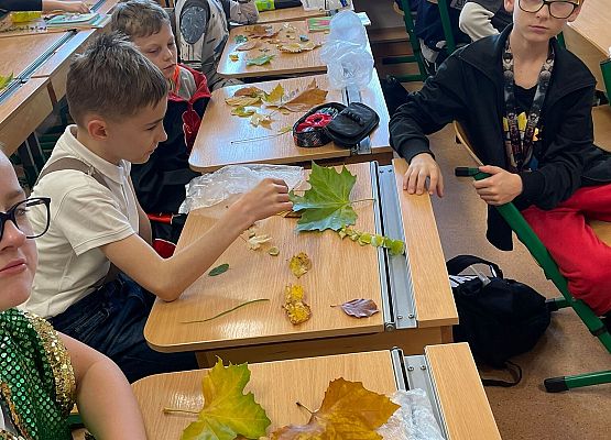 Jesienna biologia grafika