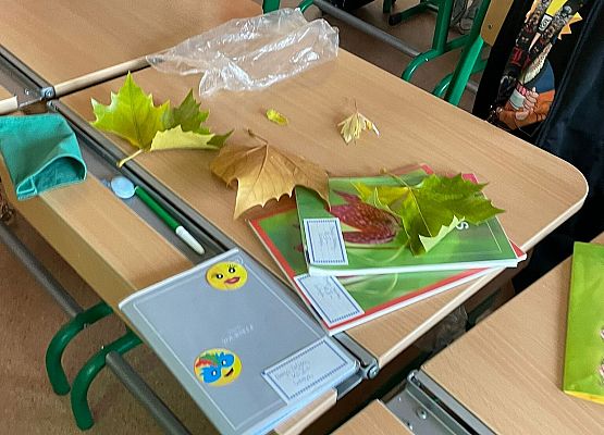 Jesienna biologia grafika