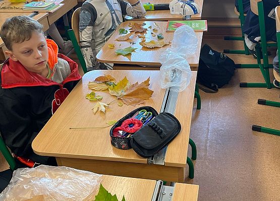 Jesienna biologia grafika