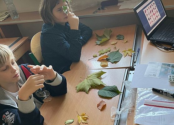 Jesienna biologia grafika