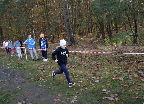 ​ Indywidualne biegi przełajowe o puchar Grand-Prix Lęborka – bieg trzeci grafika