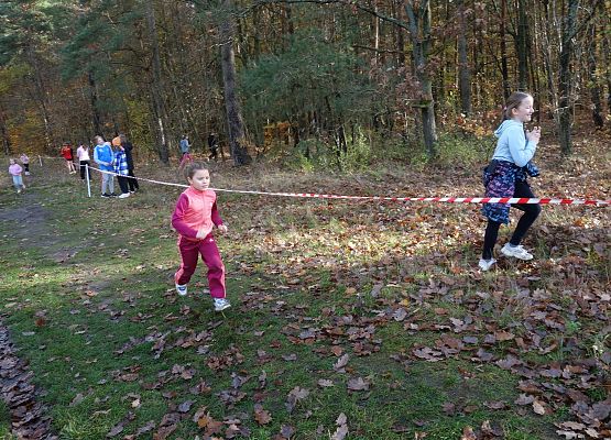 ​ Indywidualne biegi przełajowe o puchar Grand-Prix Lęborka – bieg trzeci grafika
