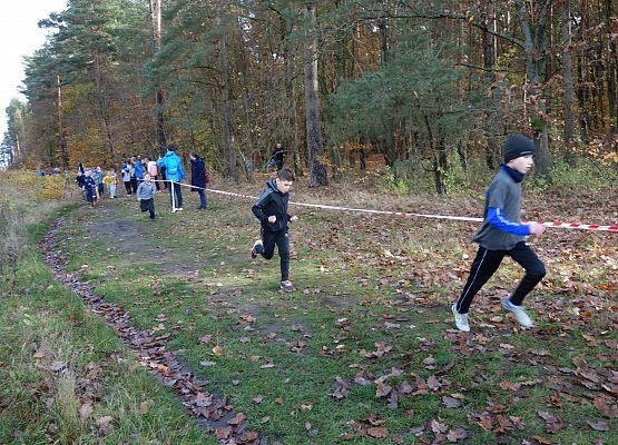 ​ Indywidualne biegi przełajowe o puchar Grand-Prix Lęborka – bieg trzeci grafika