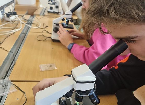 Zajęcia kółka biologicznego grafika