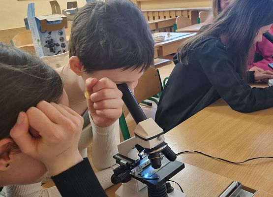 Zajęcia kółka biologicznego grafika