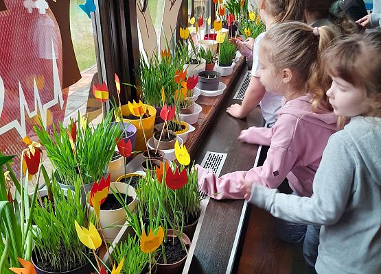 "Ogródek na oknie" w klasie pierwszej - fotorelacja grafika