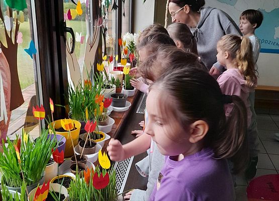 "Ogródek na oknie" w klasie pierwszej - fotorelacja grafika