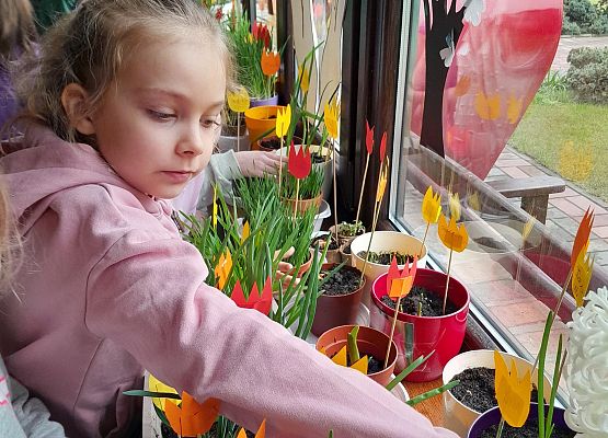"Ogródek na oknie" w klasie pierwszej - fotorelacja grafika