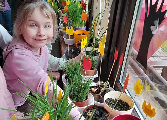 "Ogródek na oknie" w klasie pierwszej - fotorelacja grafika