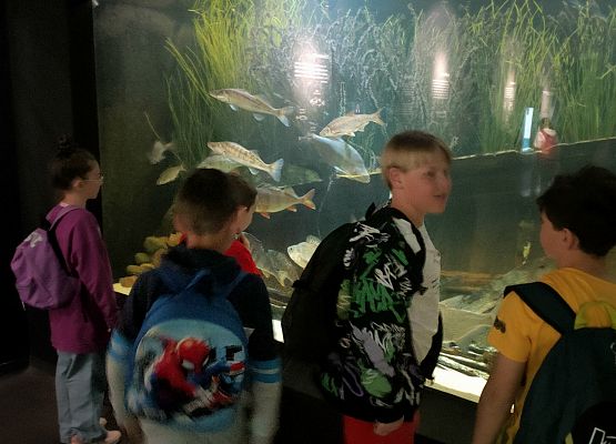 Wycieczka klasy drugiej do Oceanarium w Gdyni grafika