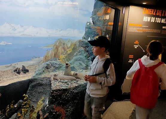 Wycieczka klasy drugiej do Oceanarium w Gdyni grafika