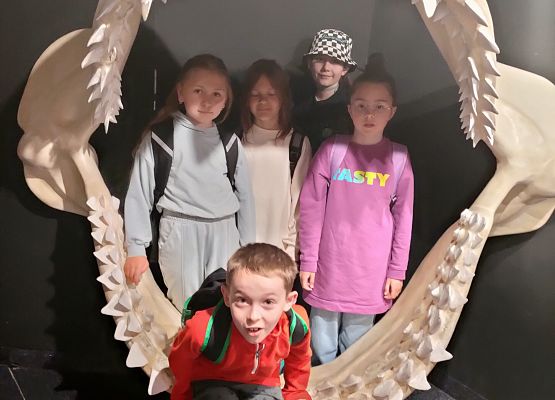 Wycieczka klasy drugiej do Oceanarium w Gdyni grafika