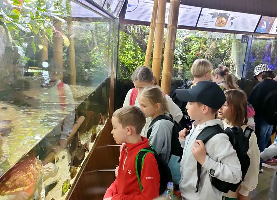 Wycieczka klasy drugiej do Oceanarium w Gdyni grafika