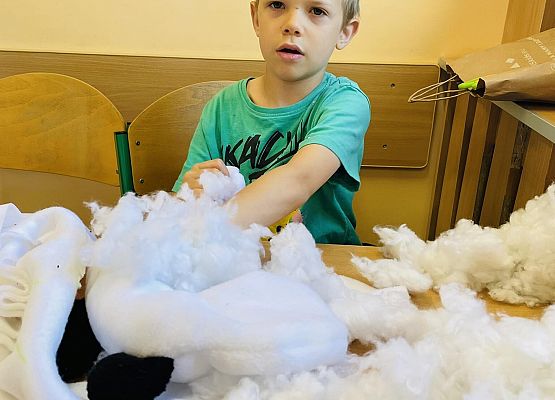 Poduszki turystyczne Złotych rączek grafika