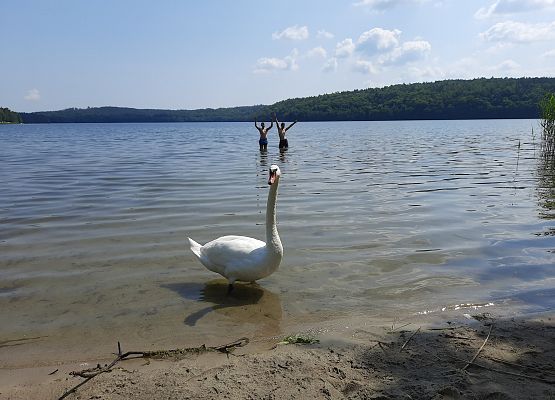 Klasa VIII b nad jeziorem grafika