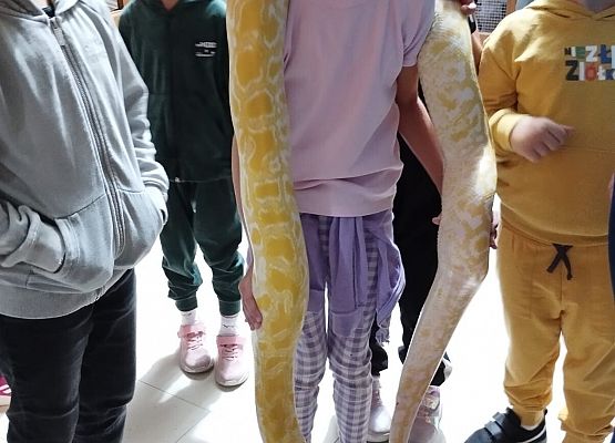 Uczniowie klasy I a i I b,w ramach realizacji języka kaszubskiego,wybrali się do Parku Edukacyjnego ,,Egzotyczne Kaszuby" w Tuchlinie grafika