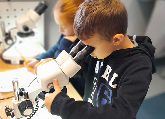 Oceanarium Gdynia - wycieczka kaszubska kl.2 i 3 grafika