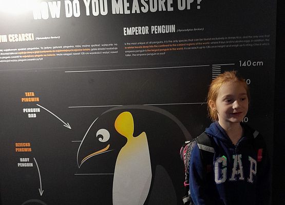 Oceanarium Gdynia - wycieczka kaszubska kl.2 i 3 grafika