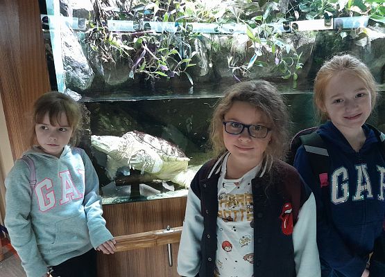 Oceanarium Gdynia - wycieczka kaszubska kl.2 i 3 grafika