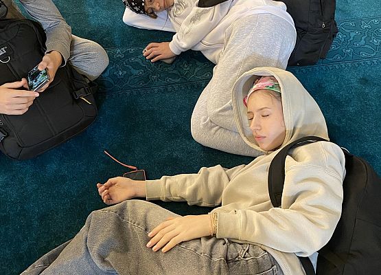 Erasmus+ grafika