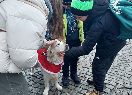 Wycieczka do Gdańska grafika