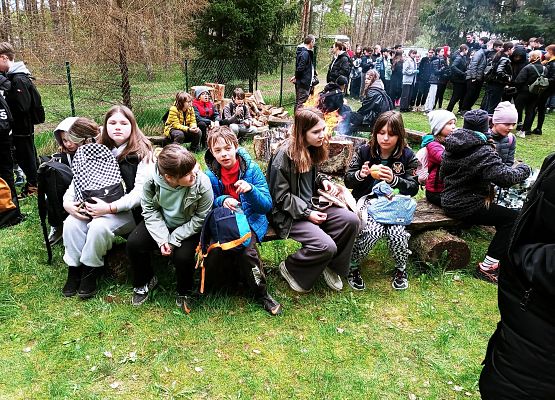 DZIEŃ ZIEMI 2024 – SADZENIE LASU grafika