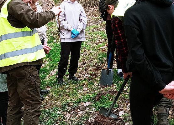 DZIEŃ ZIEMI 2024 – SADZENIE LASU grafika