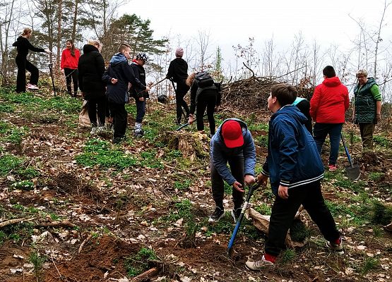 DZIEŃ ZIEMI 2024 – SADZENIE LASU grafika