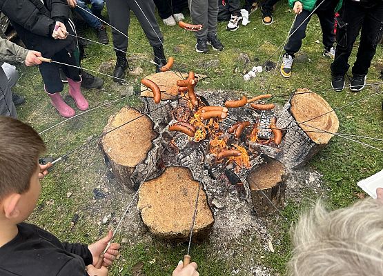 DZIEŃ ZIEMI 2024 – SADZENIE LASU grafika
