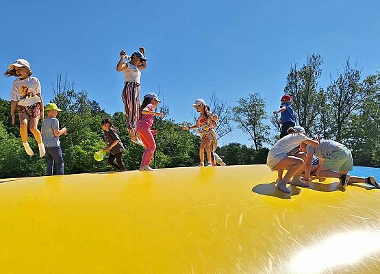 Wycieczka klas 1 na Farmę Alexa grafika