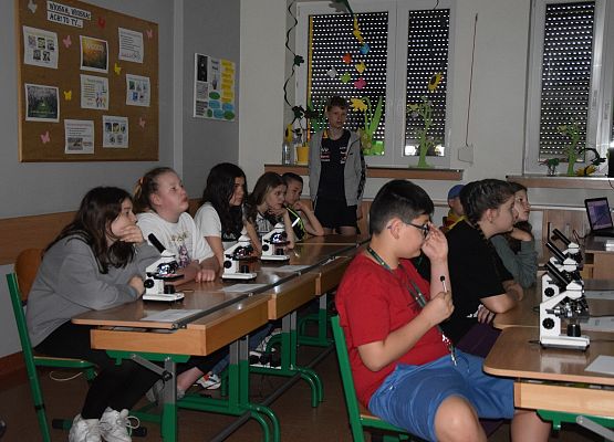 Piknik naukowy STREAMS 2024 grafika