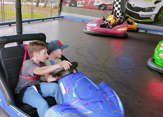 Wycieczka do Parku Dinozaurów klasa III grafika