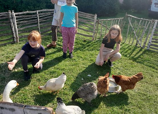 "FOLWARK WIEJSKI" czyli kaszubskie warsztaty dla kl.I-III grafika