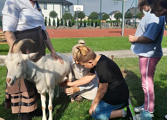 "FOLWARK WIEJSKI" czyli kaszubskie warsztaty dla kl.I-III grafika