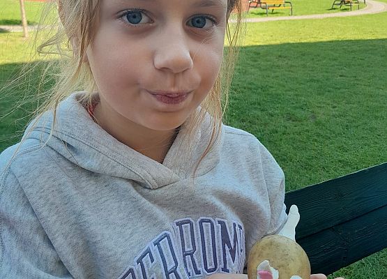 "Ziemniaczany król" grafika