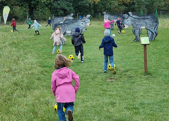 Jesienne szaleństwo na Farmie Alexa grafika