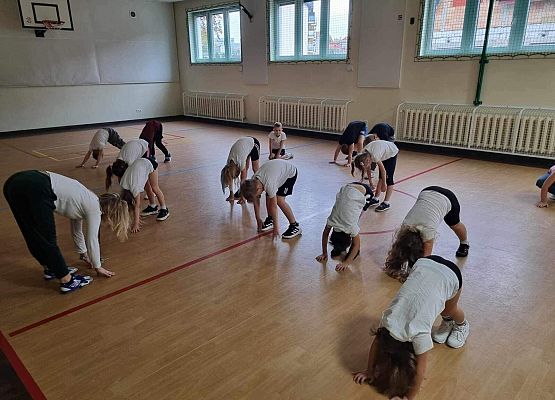 Wf może wyglądać inaczej grafika